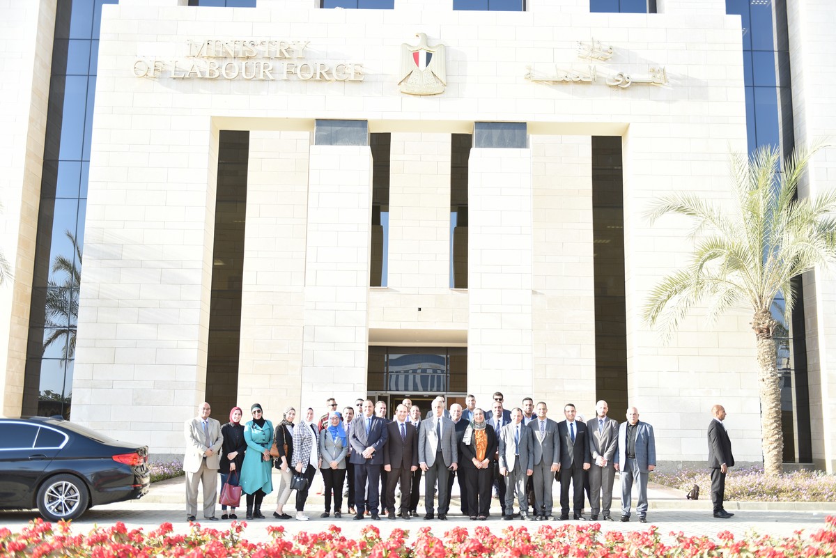 وزير القوى العامله 